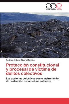 portada protecci n constitucional y procesal de v ctima de delitos colectivos (in Spanish)