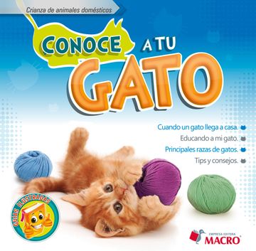 portada Conoce a tu Gato (in Spanish)