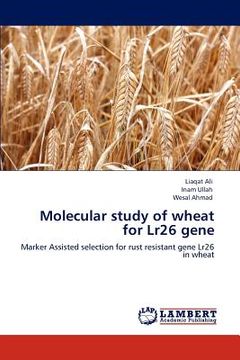 portada molecular study of wheat for lr26 gene (en Inglés)