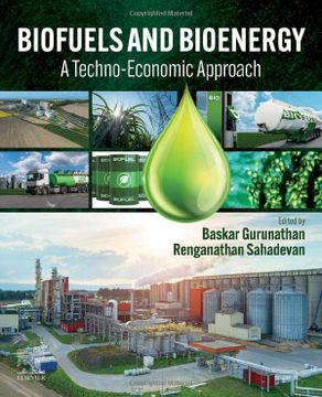 portada Biofuels and Bioenergy: A Techno-Economic Approach 