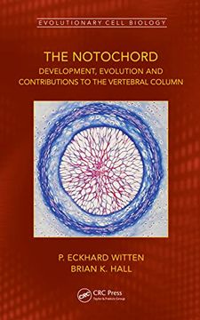 portada The Notochord: Development, Evolution and Contributions to the Vertebral Column (Evolutionary Cell Biology) (en Inglés)