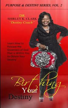 portada Birthing Your Destiny: How to Release the Greatness of God That is Within You to Obtain Your Destiny (in English)