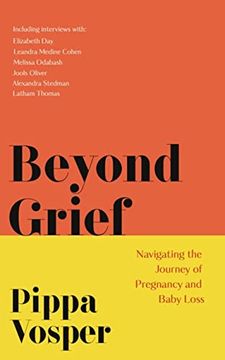 portada Beyond Grief: Navigating the Journey of Pregnancy and Baby Loss (in English)