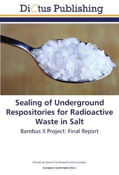 portada Sealing of Underground Respositories for Radioactive Waste in Salt: Bambus II Project: Final Report