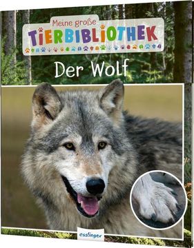 portada Meine Große Tierbibliothek: Der Wolf: Sachbuch für Vorschule & Grundschule Sachbuch für Vorschule & Grundschule (en Alemán)
