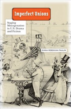 portada Imperfect Unions: Staging Miscegenation in U. St Drama and Fiction (in English)