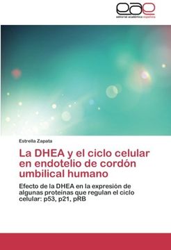 portada La DHEA y El Ciclo Celular En Endotelio de Cordon Umbilical Humano