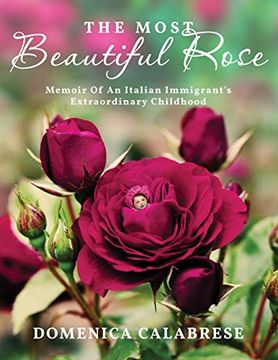 portada The Most Beautiful Rose: Memoir of an Italian Immigrant'S Extraordinary Childhood (in English)