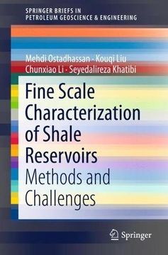 portada Fine Scale Characterization of Shale Reservoirs: Methods and Challenges (Springerbriefs in Petroleum Geoscience & Engineering) (en Inglés)
