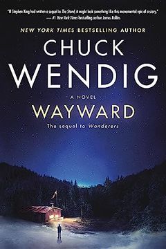 portada Wayward: A Novel (Wanderers) (en Inglés)
