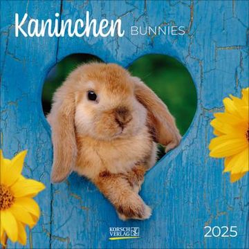 portada Kaninchen 2025: Broschürenkalender mit Ferienterminen. Format: 30 x 30 cm