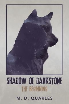 portada Shadow of Darkstone: The Beginning (in English)