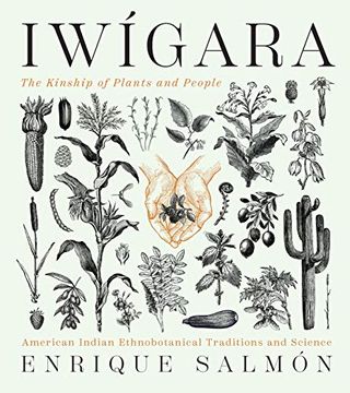 portada Iwigara: American Indian Ethnobotanical Traditions and Science (en Inglés)