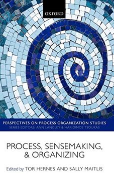 portada Process, Sensemaking, and Organizing (en Inglés)