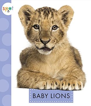 portada Baby Lions (Spot Baby Animals)