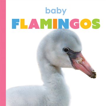 portada Baby Flamingos (en Inglés)