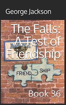 portada The Falls: A Test of Friendship: Book 36 (The Falls Small Town Mystery Series) (en Inglés)