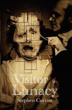 portada visitor in lunacy (in English)