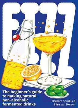 portada Fizz: A Beginners Guide to Making Natural, Non-Alcoholic Fermented Drinks 