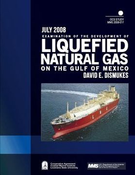portada Examination of the Development of Liquefied Natural Gas on the Gulf of Mexico (in English)