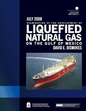 portada Examination of the Development of Liquefied Natural Gas on the Gulf of Mexico (en Inglés)