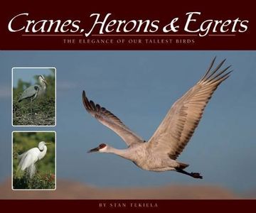 portada Cranes, Herons & Egrets: The Elegance of Our Tallest Birds (Wildlife Appreciation)
