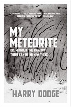 portada My Meteorite: Or, Without the Random There can be no new Thing (in English)