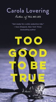 portada Too Good to be True: A Novel (en Inglés)