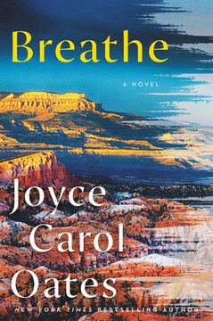 portada Breathe: A Novel (in English)