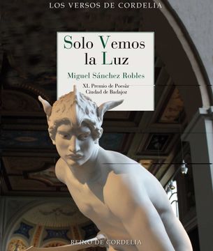 portada Solo Vemos la luz (xl Premio de Poesia Ciudad de Badajoz)