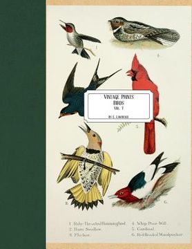 portada Vintage Prints: Birds: Vol. 7 (in English)