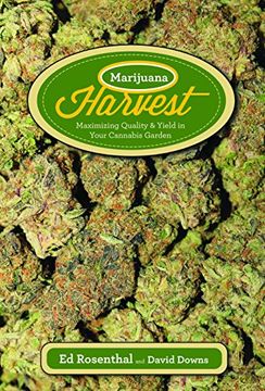 portada Marijuana Harvest: How to Maximize Quality and Yield in Your Cannabis Garden (in English)