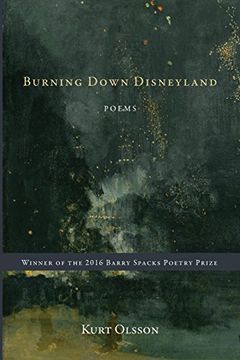 portada Burning Down Disneyland (in English)