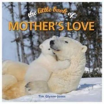 portada little book of mother's love (in English)