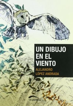 portada Un dibujo en el viento (in Spanish)