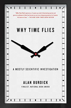portada Why Time Flies: A Mostly Scientific Investigation (en Inglés)