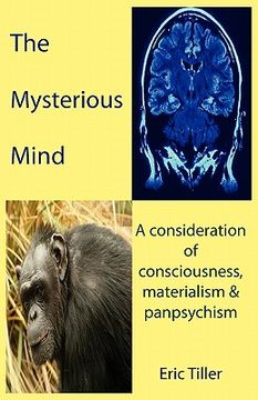portada the mysterious mind: a consideration of consciousness, materialism & panpsychism (en Inglés)