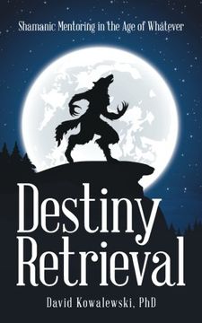 portada Destiny Retrieval: Shamanic Mentoring in the age of Whatever (en Inglés)