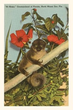 portada Vintage Journal Slow Loris, Hibiscus, Florida