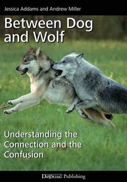 portada Between dog and Wolf: Understanding the Connection and the Confusion (en Inglés)