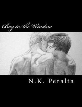 portada Boy in the Window: A Gay Youth Coming Out Story (en Inglés)