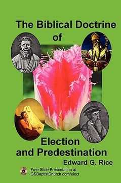 portada the biblical doctrine of election and predestination (en Inglés)