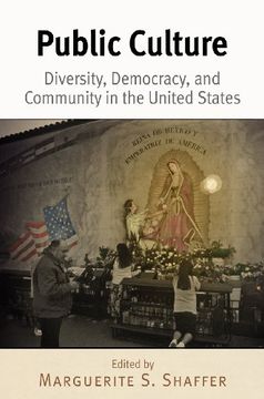 portada Public Culture: Diversity, Democracy, and Community in the United States (en Inglés)