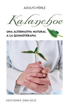 portada Kalanchoe (in Spanish)