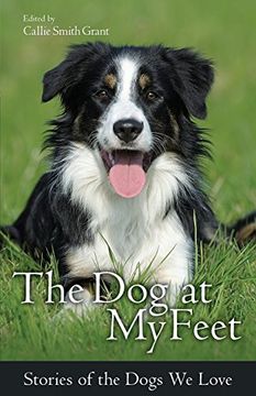 portada The Dog at My Feet: Stories of the Dogs We Love (in English)