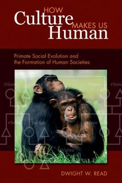 portada How Culture Makes Us Human: Primate Social Evolution and the Formation of Human Societies (en Inglés)