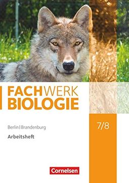 portada Fachwerk Biologie 7. /8. Schuljahr - Berlin/Brandenburg - Arbeitsheft (in German)