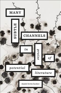 portada many subtle channels: in praise of potential literature