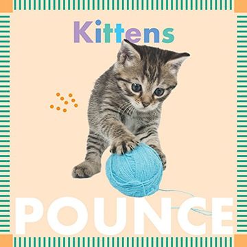 portada Kittens Pounce (Amicus ink Board Books) (en Inglés)