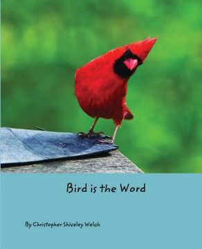 portada Bird is the Word